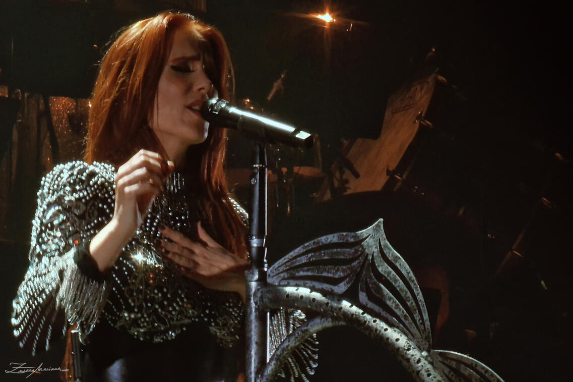 Epica, 2024,The Symphonic Synergy